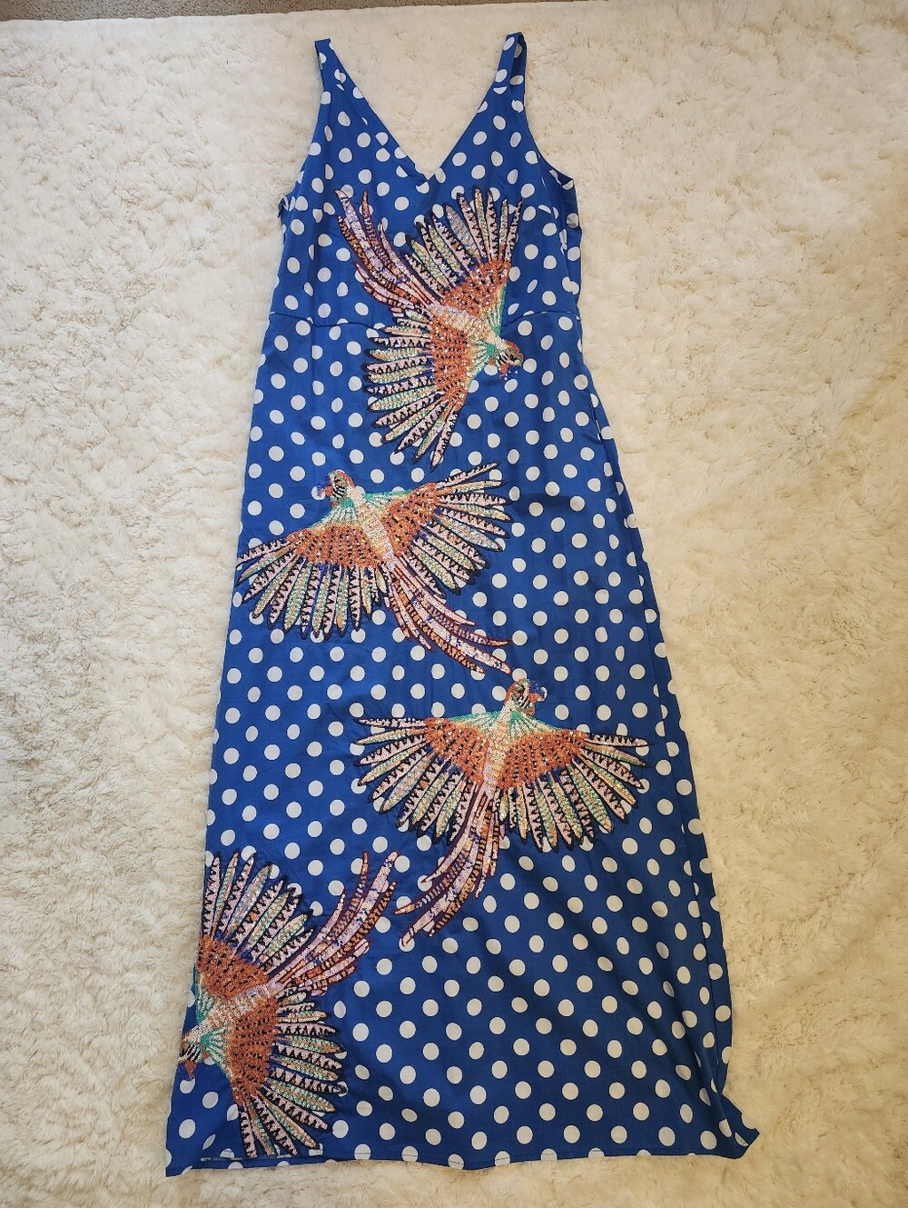 Queen Of Sparkles Blue Polka Dot Maxi Dress with Bird Print